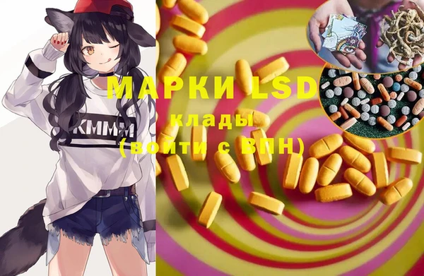 стаф Богородицк