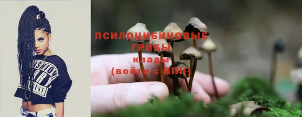 гашишное масло Богородск