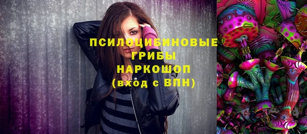 стаф Богородицк
