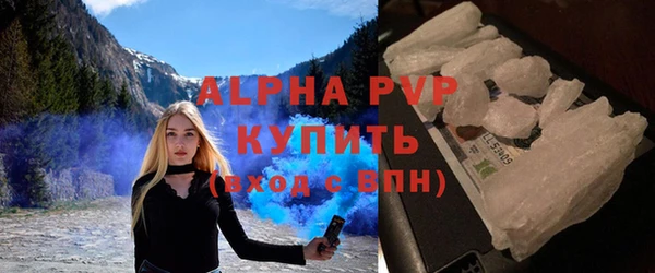 стаф Богородицк