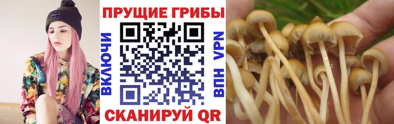 МЕГА ТОР наркота Арзамас Псилоцибиновые грибы ЛСД